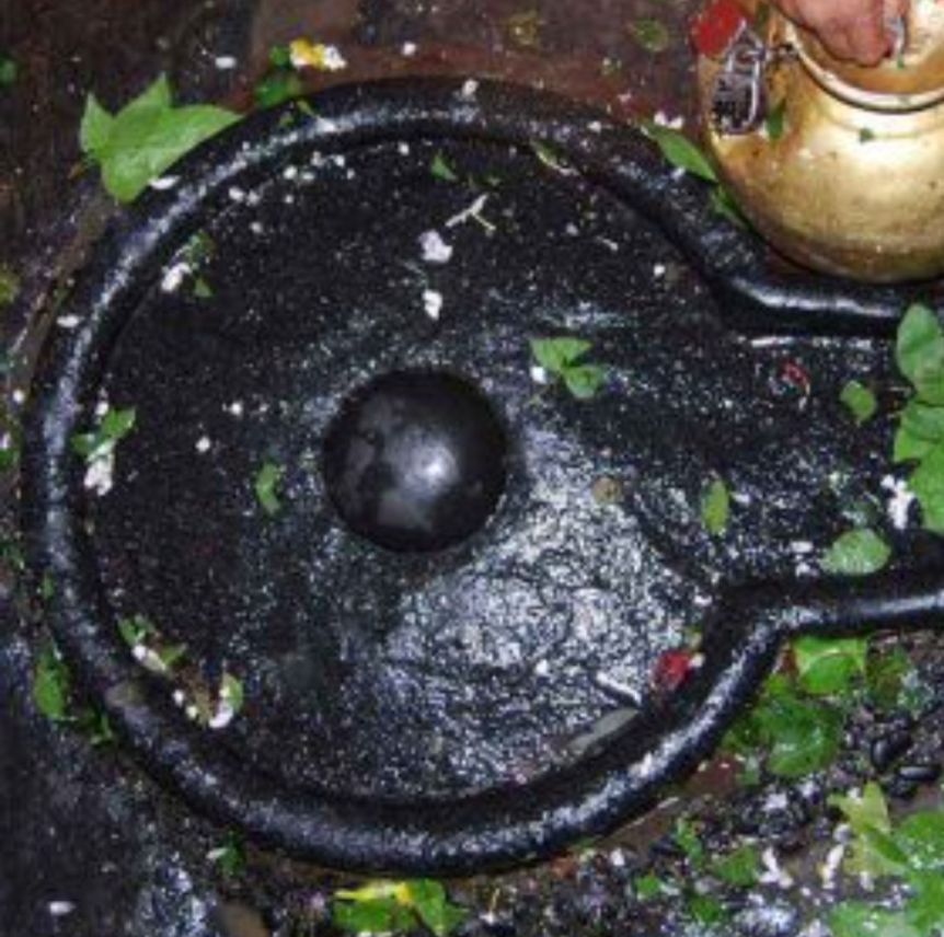 भक्तों ने लिया बाबा का आशीर्वाद 