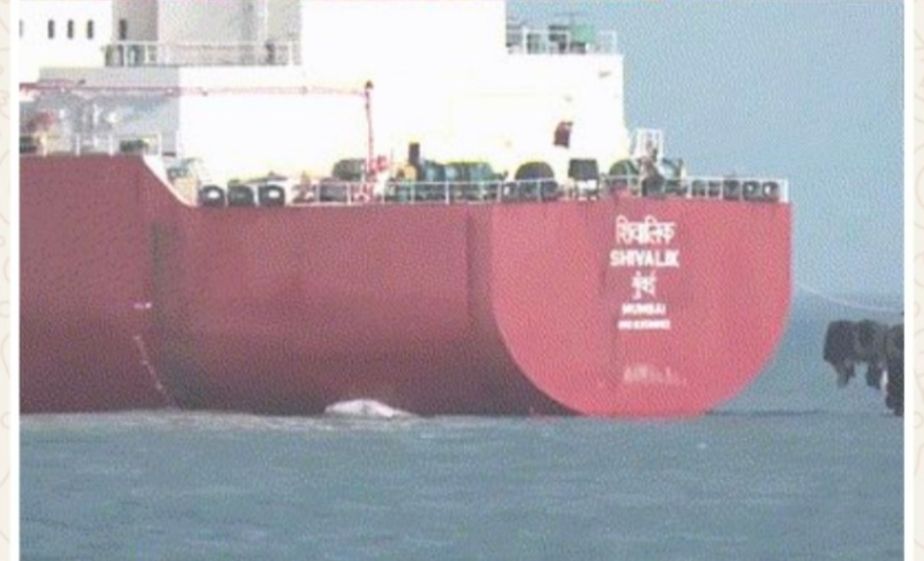 ईरान ने भारत के जहाजों को होमुर्ज स्ट्रेट से गुजरने की इजाजत दी