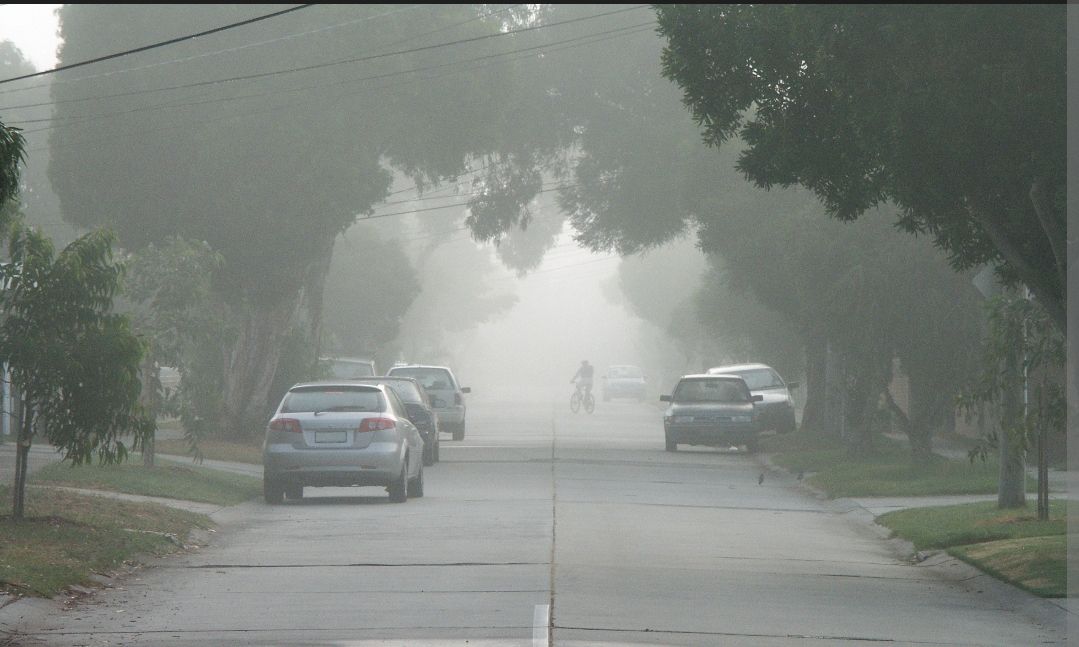 झारखंड में घने कोहरे और शीतलहर का कहर, येलो अलर्ट