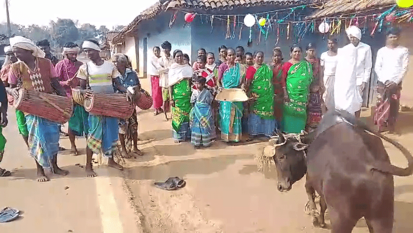 सोहराय पर्व हर्षोल्लास के साथ मनाया गया