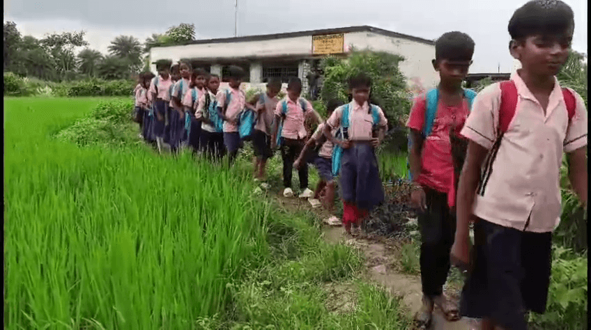 खेतों के बीच स्कूल, कच्चे रास्ते से गुजरते नन्हें बच्चे