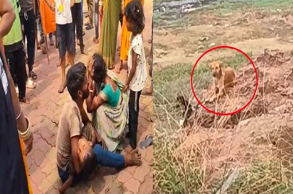 आवारा कुत्तों ने 5 साल के मासूम बच्चे को नोंच खाया